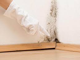 Reliable Franklin Park, PA Mold Inspection Solutions